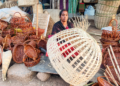 Bamboo sector reforms open doors to greater innovation, entrepreneurship