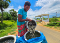 PMMSY scheme gives booster shot to India’s fisheries sector