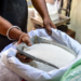 Pak puts imported sugar for international tender due to poor planning, cartels: Report