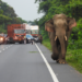 India’s roads sector in execution-intensive phase in FY27, states key driver: Report