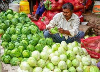 India’s top 50 districts drive 33 per cent of informal sector activity