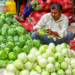 India’s top 50 districts drive 33 per cent of informal sector activity