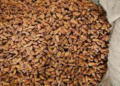 DRI seizes 362 tonnes of Pakistan-origin dry dates in transshipment crackdown