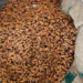 DRI seizes 362 tonnes of Pakistan-origin dry dates in transshipment crackdown