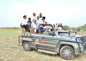 Bhupender Yadav reviews Great Indian Bustard conservation work in Gujarat’s Kachchh