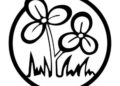 Both Trinamool factions submit their choices of new party name, symbol to Election Commission (Lead)