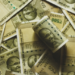 Govt’s net direct tax collections rise 13 per cent to cross Rs 12.12 lakh crore