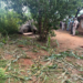 Wild elephant electrocuted in MP’s Mauganj, exposed power line sparks safety concerns