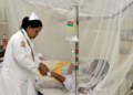 Bangladesh reports 87 dengue deaths in September, highest monthly toll this year