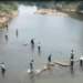 Tension at Telangana’s Jurala project as farmers intensify protest demanding water