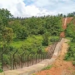 ‘FMR or RMR facilitates regulated cross-border movement along India-Myanmar border’