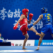 Asian Games: Aryan, Roshibina Devi march into quarterfinals after Wushu wins