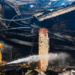 Jodhpur factory blasts: Blaze controlled; 4 out of 14 firefighters who sustained burn injuries, critical