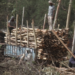 Muttil tree felling probe widened as Kerala Forest Minister orders scrutiny of conspiracy; officer Jayathilak’s role
