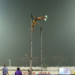 Asian Games: Dev Meena betters own national record with 5.50m clearance in pole vault