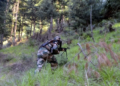 Top Lashkar commander killed in encounter in J&K’s Budgam