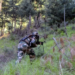 Top Lashkar commander killed in encounter in J&K’s Budgam