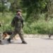 Two Pakistani JeM terrorists killed in J&K’s Udhampur, searches on in area (Lead)