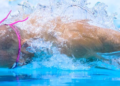 Asian Games: Srihari Natraj finishes 10th in men’s 50m backstroke final