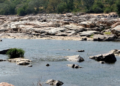 Cauvery row: Karnataka to move Supreme Court against order to release 6,000 cusecs to Tamil Nadu
