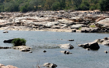 Cauvery row: Karnataka to move Supreme Court against order to release 6,000 cusecs to Tamil Nadu