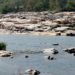 Cauvery row: Karnataka to move Supreme Court against order to release 6,000 cusecs to Tamil Nadu