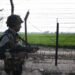 Two Pakistani intruders shot dead by BSF in Punjab