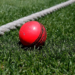 Pink ball trial in day Tests, time-wasting penalties among major ICC Playing Conditions tweaks