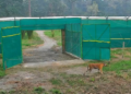Bengal’s big cat revival: Tigress T138 walks into Buxa wild, begins new chapter