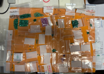 Delhi Customs seize precious stones worth Rs 2.02 crore from passenger arriving from Bangkok