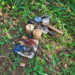 Seven IEDs recovered in Abujhmad during Chhattisgarh Police-ITBP operation
