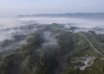 El Nino, Atlantic warming could offer early warning of Amazon heat: Study