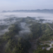 El Nino, Atlantic warming could offer early warning of Amazon heat: Study