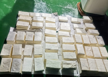 Pak drug cartels turn to India-made meth labs in Kerala, TN as busts choke smuggling routes