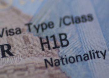 US lawmaker seeks probe into H-1B visa fraud