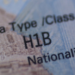 US lawmaker seeks probe into H-1B visa fraud